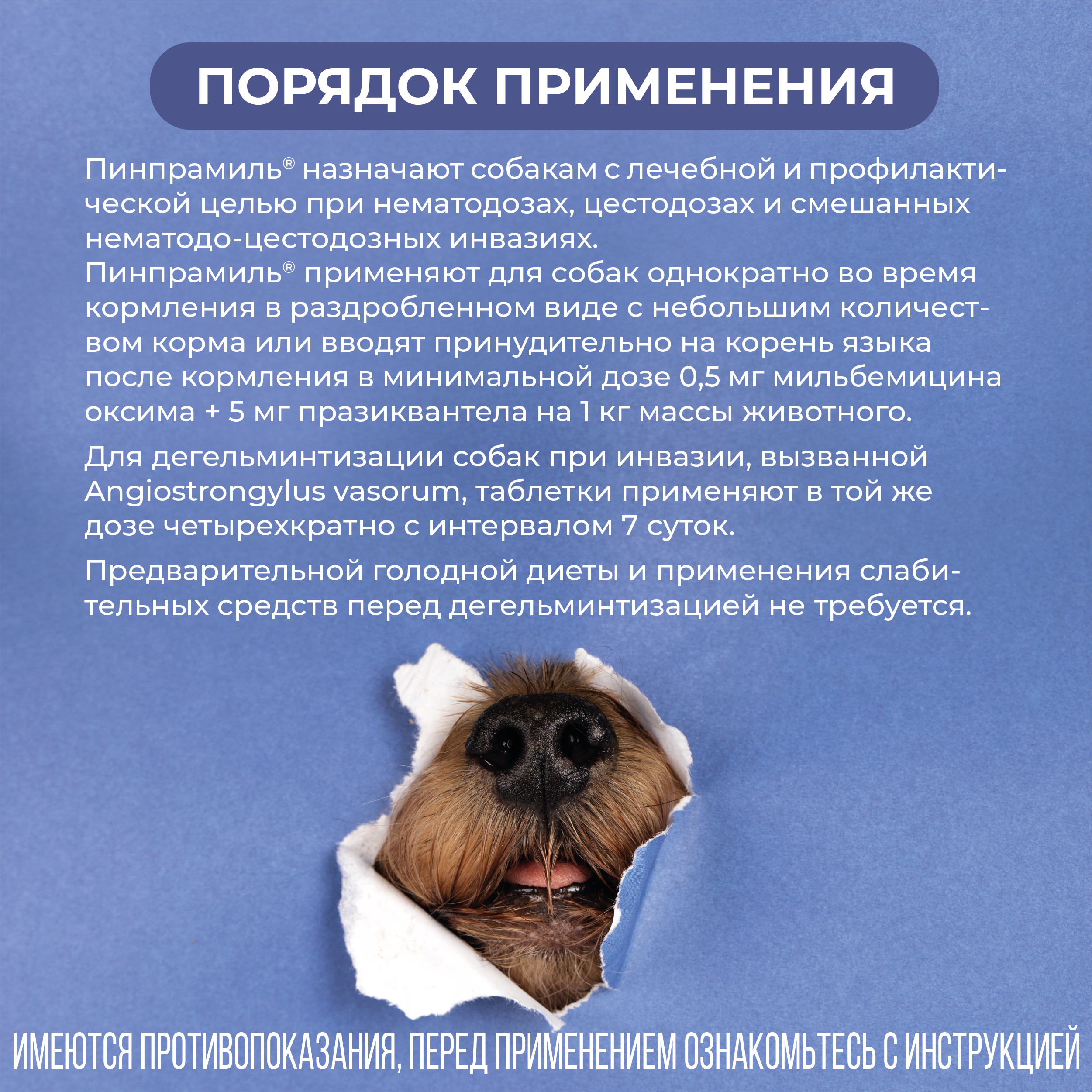 VIC Пинпрамиль® 2,5мг/25мг, для щенков и взрослых собак, коробка 4 табл.