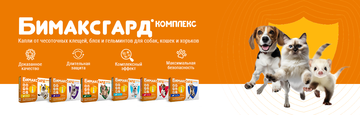 Баннер