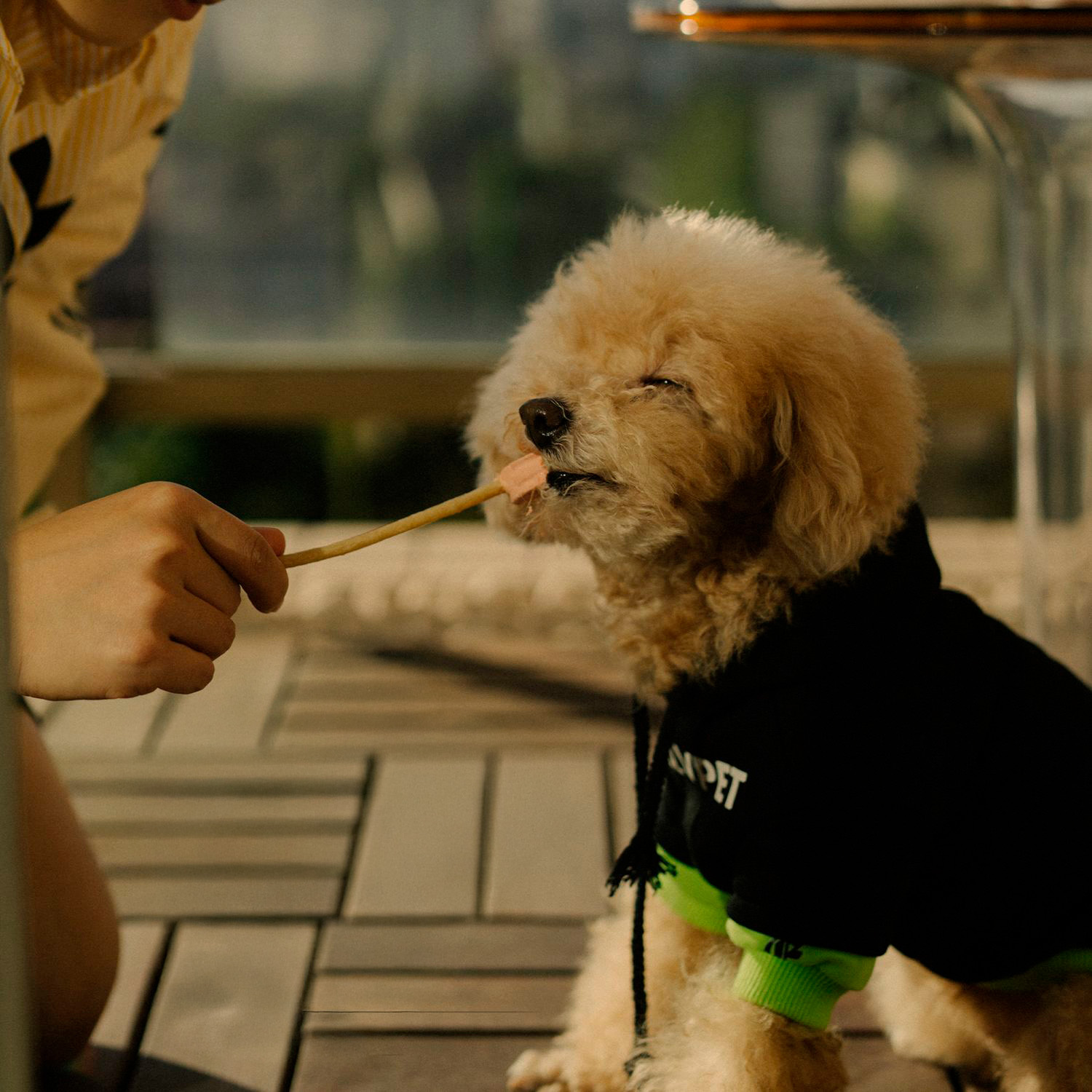 Лакомство Ranova для собак сублимированное на палочке микс вкусов: козье молоко*2; клюква*2; тыква*2, 8 г х 6 шт