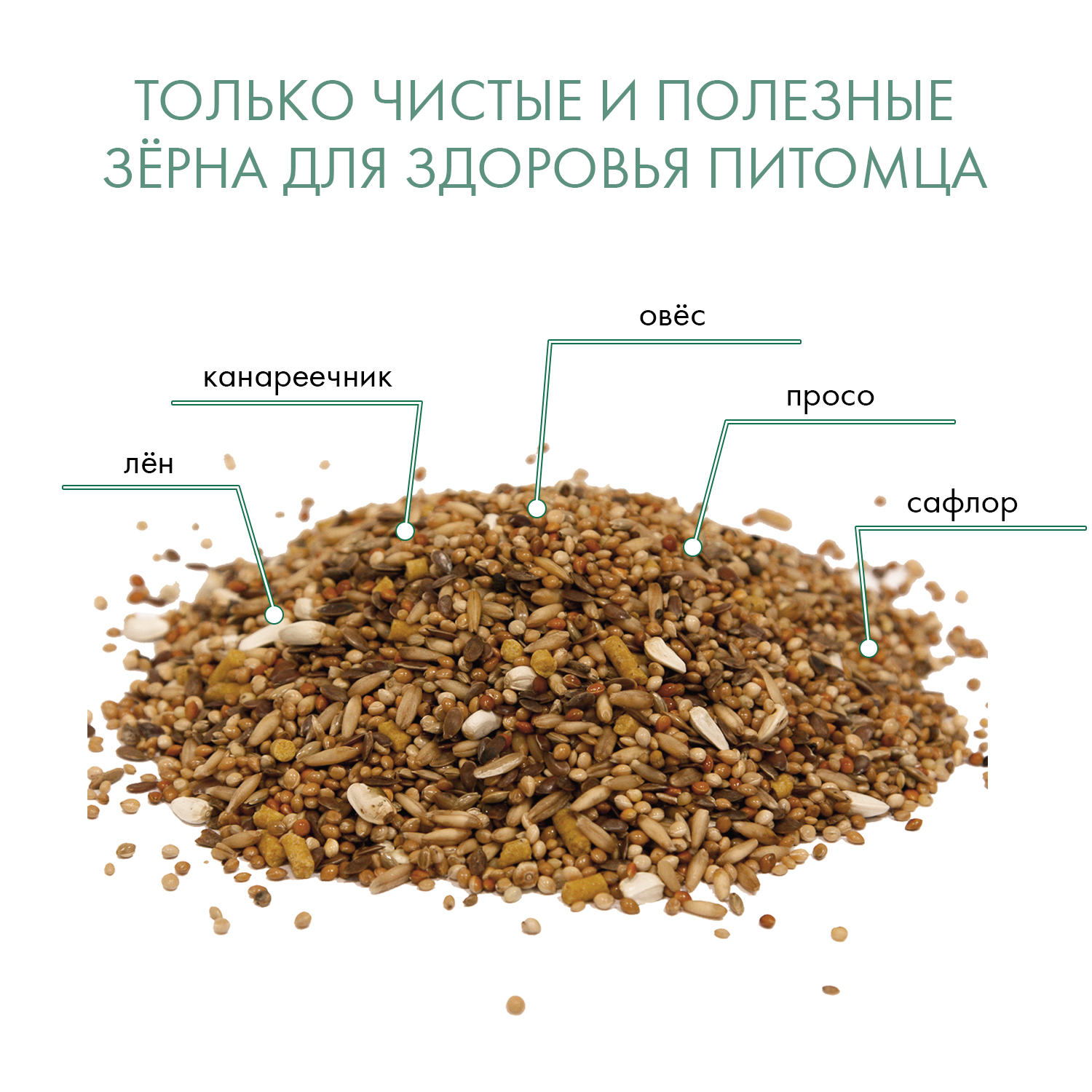FIORY корм для волнистых попугаев Pappagallini 400 г