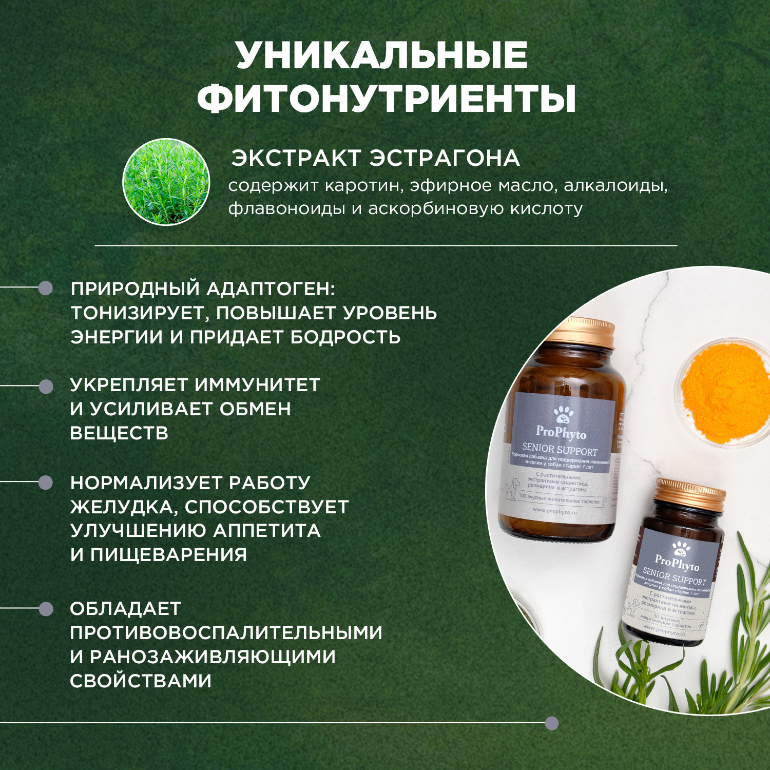 ProPhyto Сеньор Саппорт, 30 таблеток