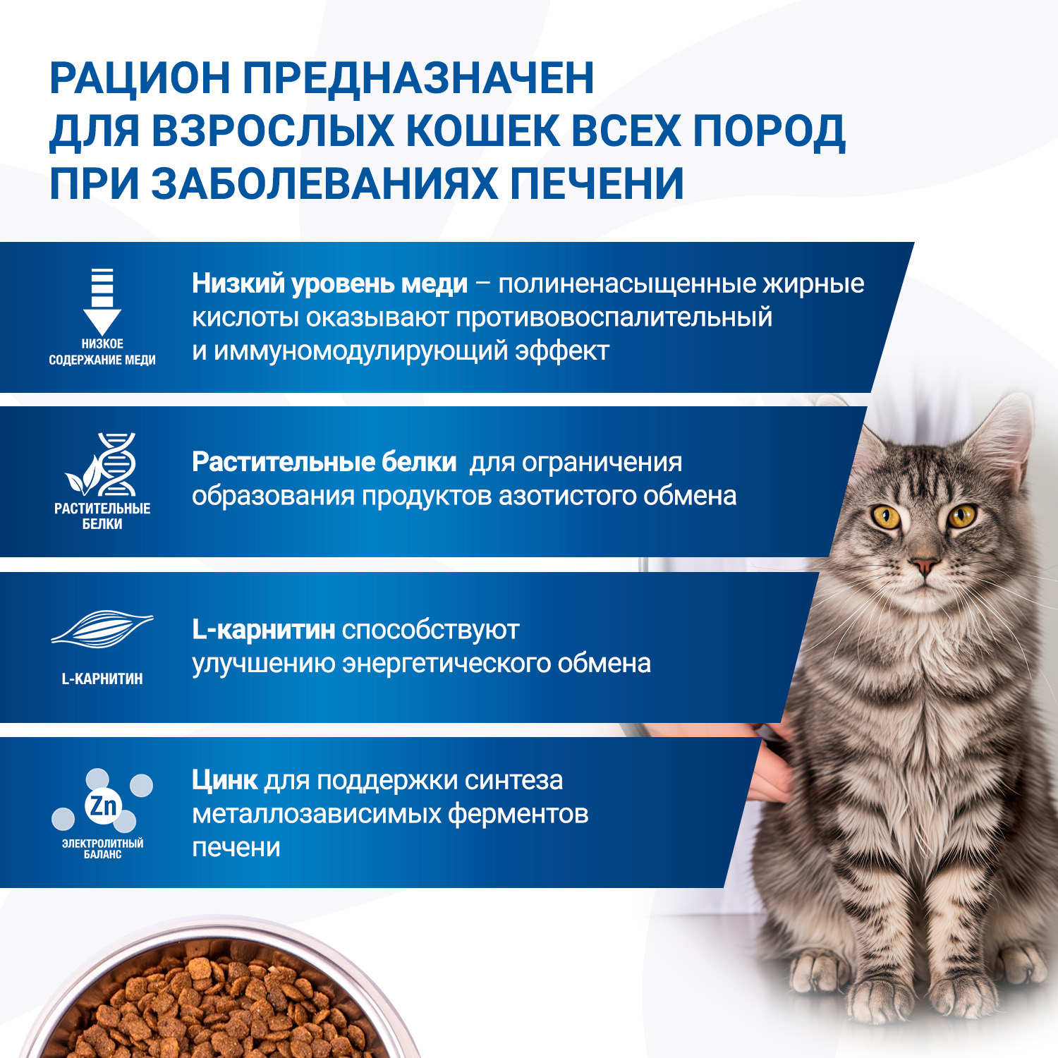Диетический корм Monge VetSolution Cat Hepatic Гепатик для кошек при заболеваниях печени 1,5 кг