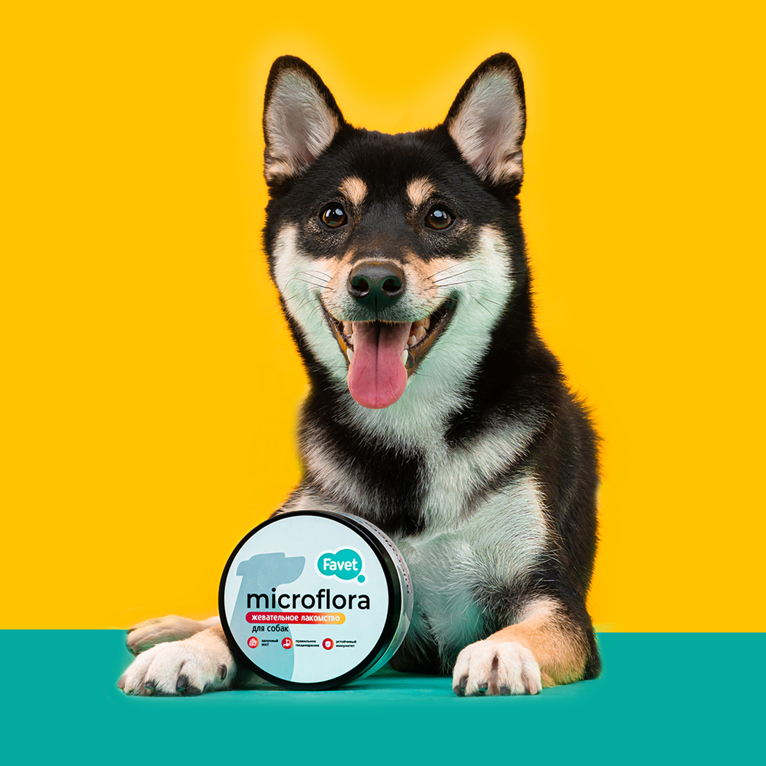 Favet Функциональное лакомство SuperFlora Soft Chews для пищеварительной системы для собак, 120г