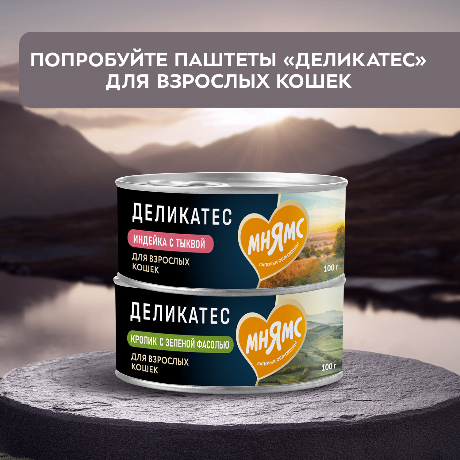 Влажный корм Мнямс Деликатес Куриное филе с говядиной в соусе для кошек 50 г