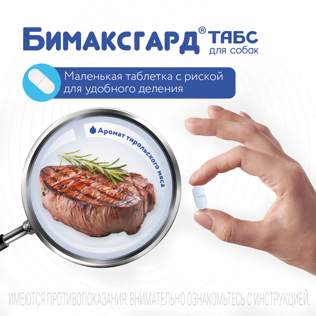 Бимаксгард® ТАБС антигельминтный препарат для крупных собак, 2 таб.