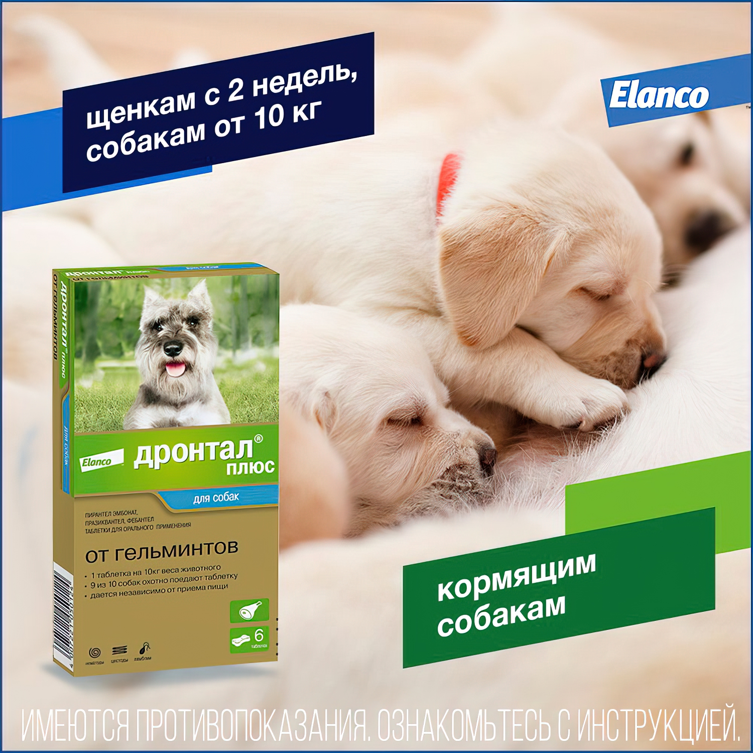 Bayer Дронтал плюс таблетки со вкусом мяса от гельминтов для собак 6 таб.