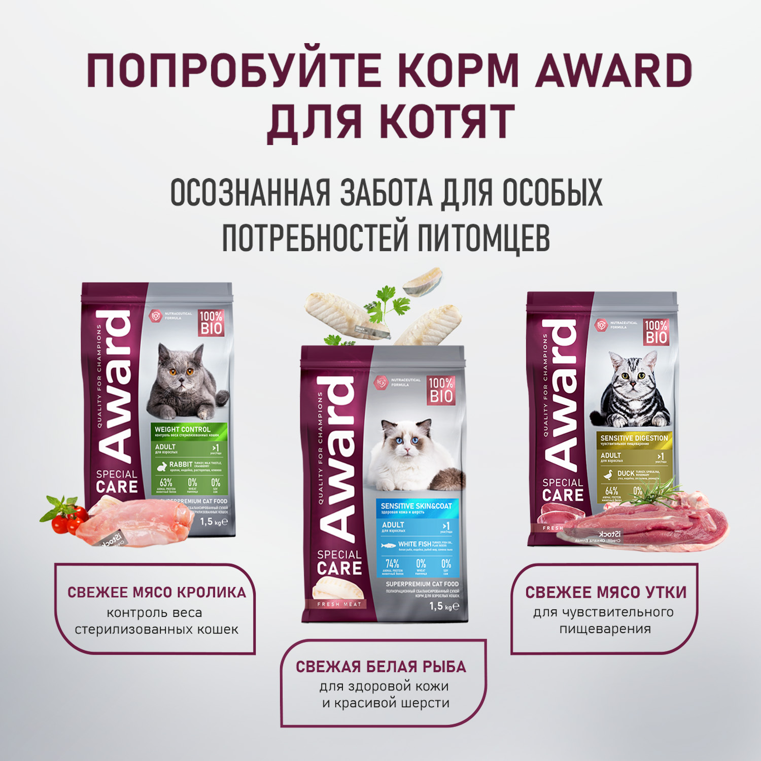 Влажный дополнит. корм AWARD SPECIAL CARE Sensitive skin&coat "мясное пюре" для взрослых кошек для здоровья кожи и шерсти из курицы с лососем 100 г