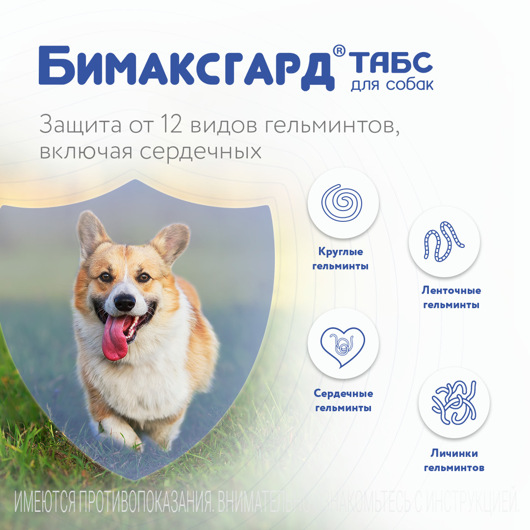 Бимаксгард® ТАБС антигельминтный препарат для щенков и маленьких собак, 2 таб.