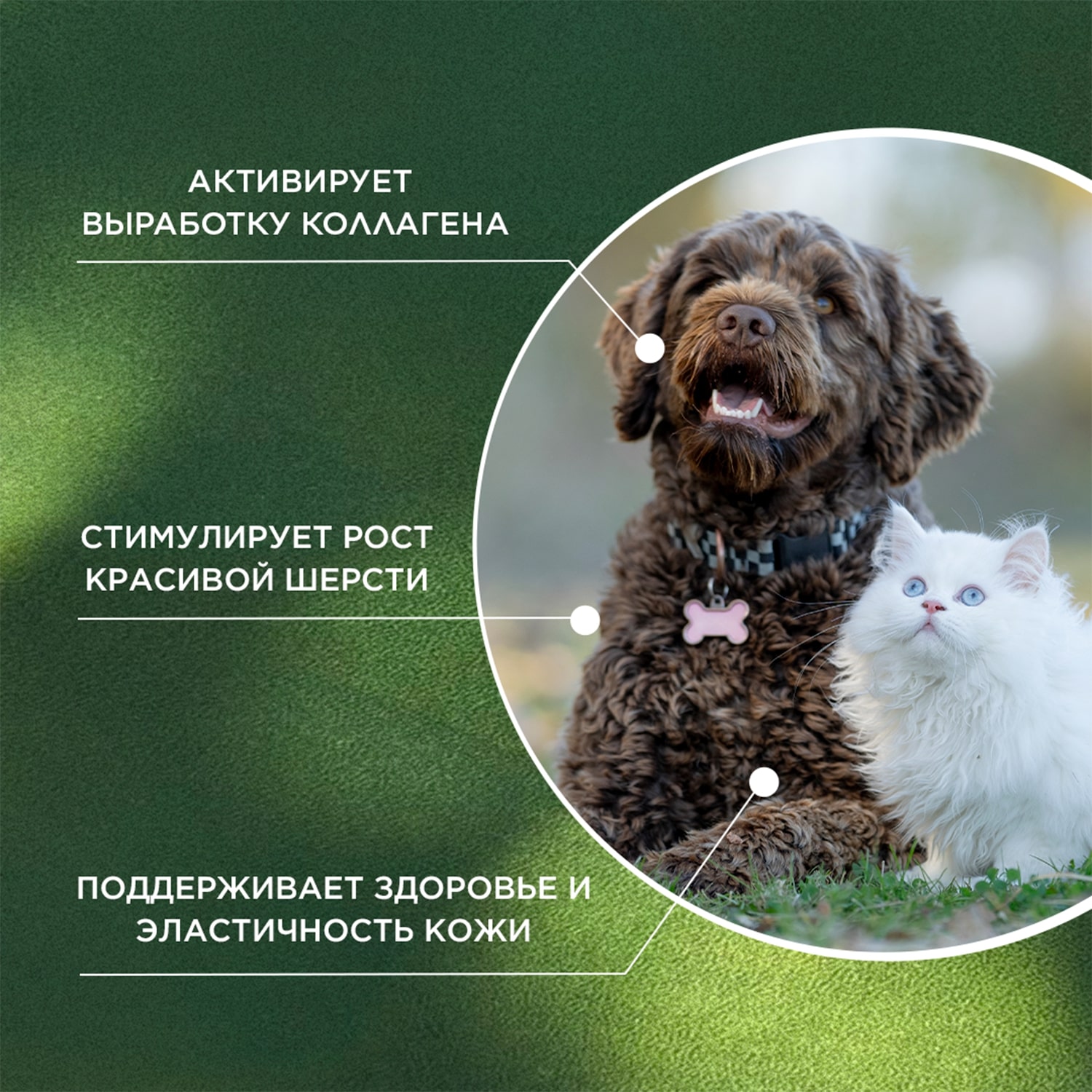 ProPhyto для Кожи и Шерсти, 30 таблеток