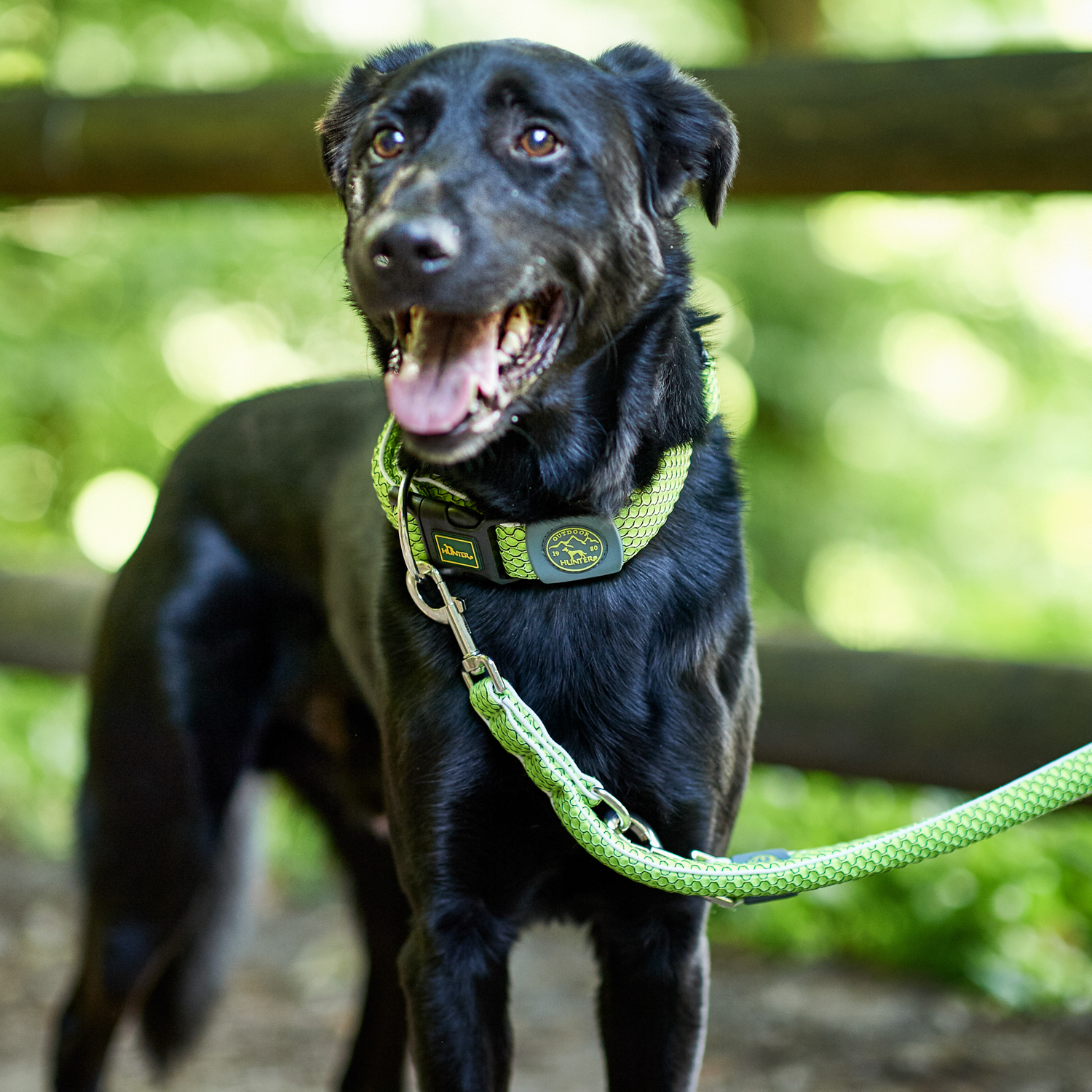 Hunter поводок-перестежка для собак Hilo 20 / 200 нейлон лайм СКИДКА 50%