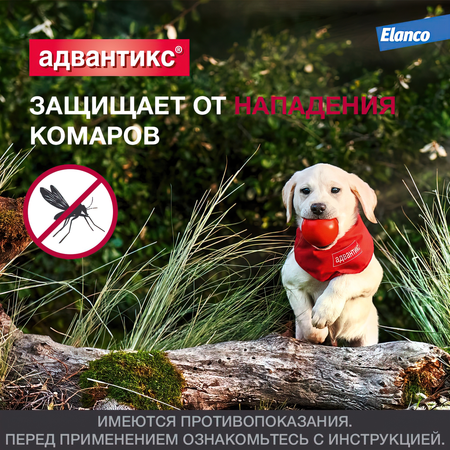 Bayer Адвантикс 250 С для собак 10-25 кг от блох, клещей и комаров (4 пипетки х 2,5 мл)