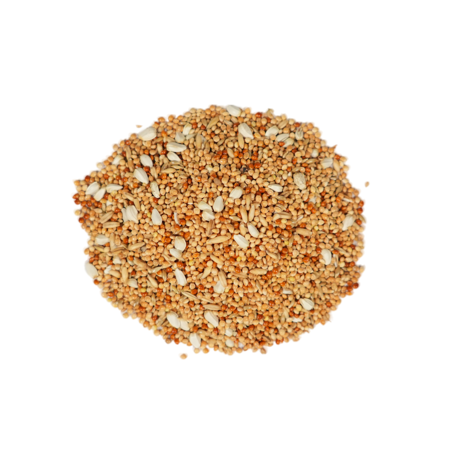 FIORY корм для волнистых попугаев Pet Paradise 1 кг