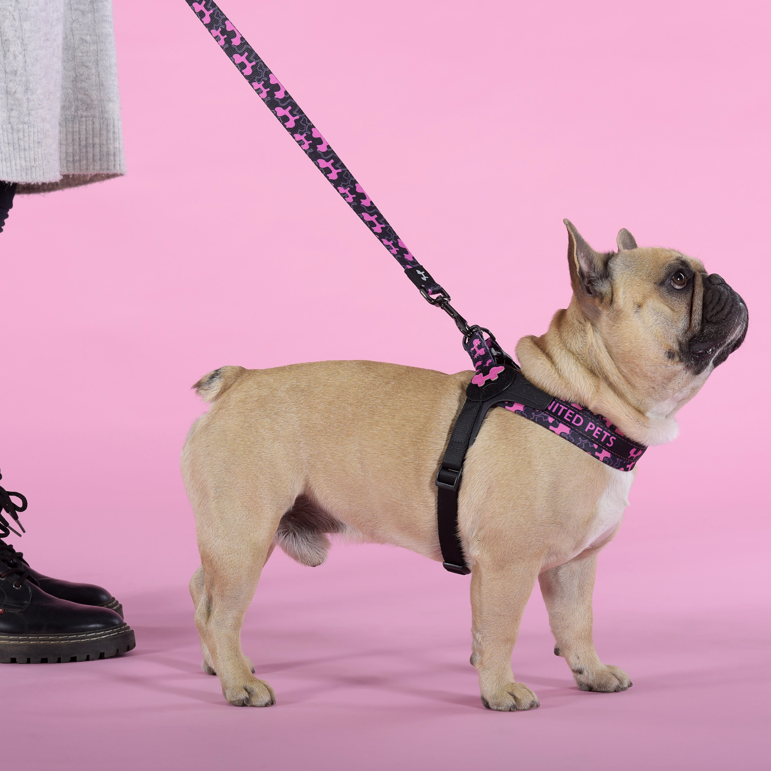 Шлейка United Pets для собак Complete me Identity 3,5 x 48-64 см, черная с розовым СКИДКА 30%
