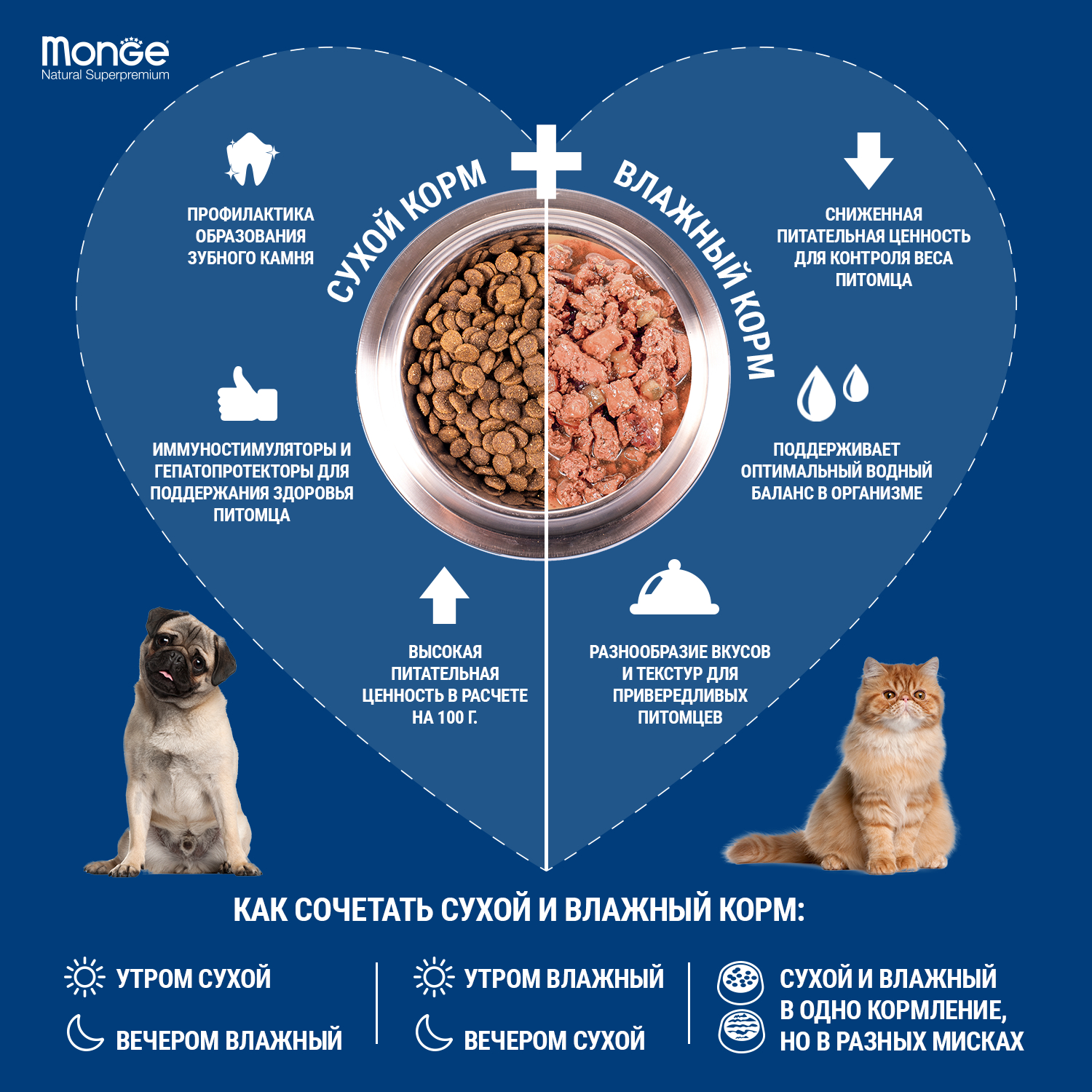 Сухой корм Monge Dog Speciality Line Puppy&Junior для щенков всех пород, из ягненка с рисом 12 кг