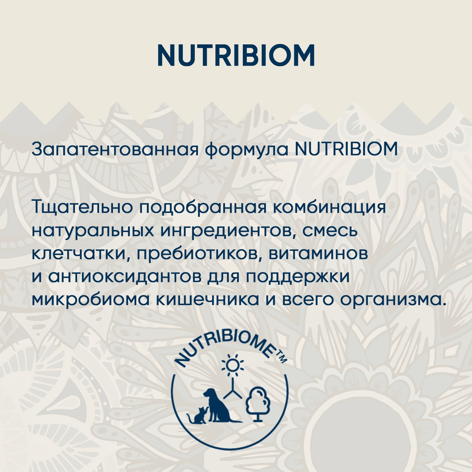 Сухой корм VIDA NATIVA для котят из лосося с мускатной тыквой 1,4 кг