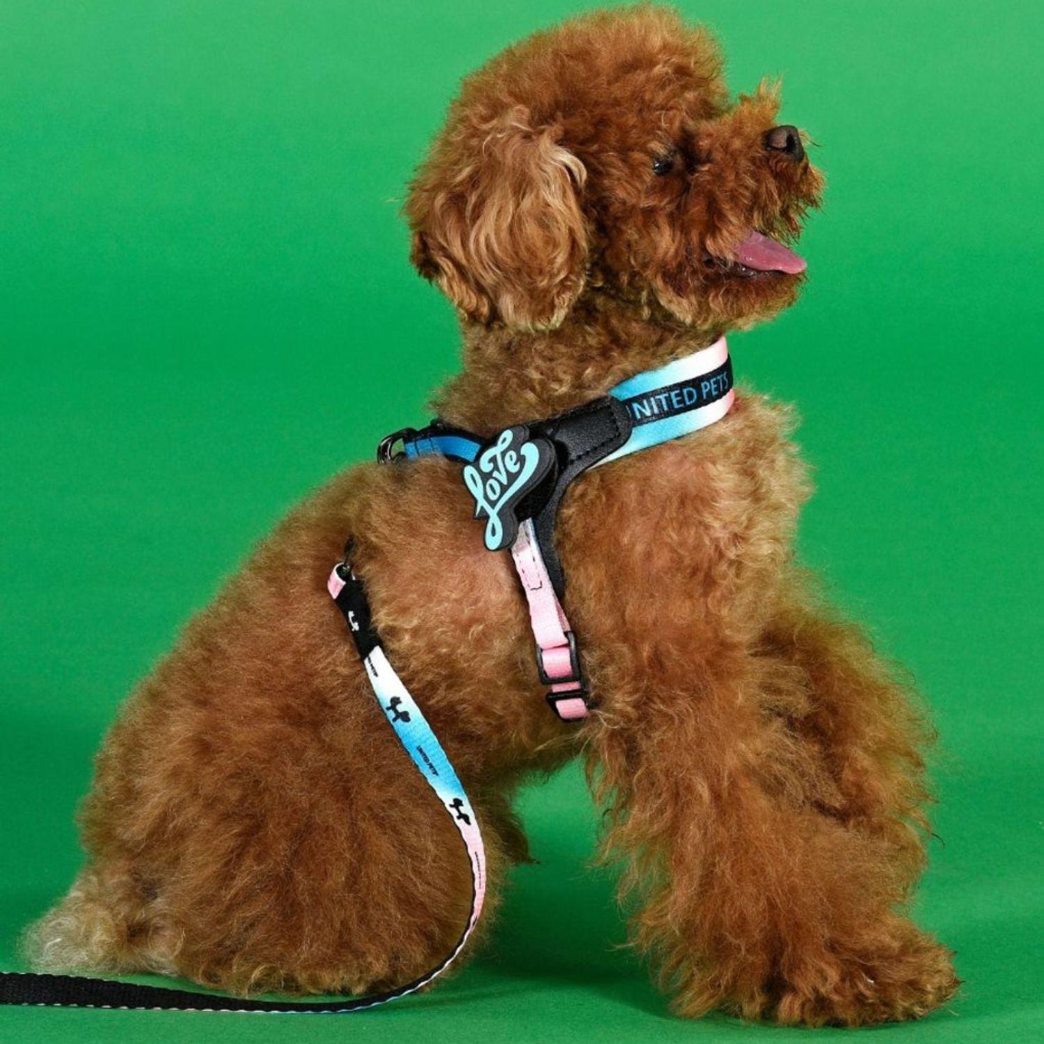 Шлейка United Pets для собак Complete me 3.5 - XL 48-64, розово-голубой тай-дай СКИДКА 30%
