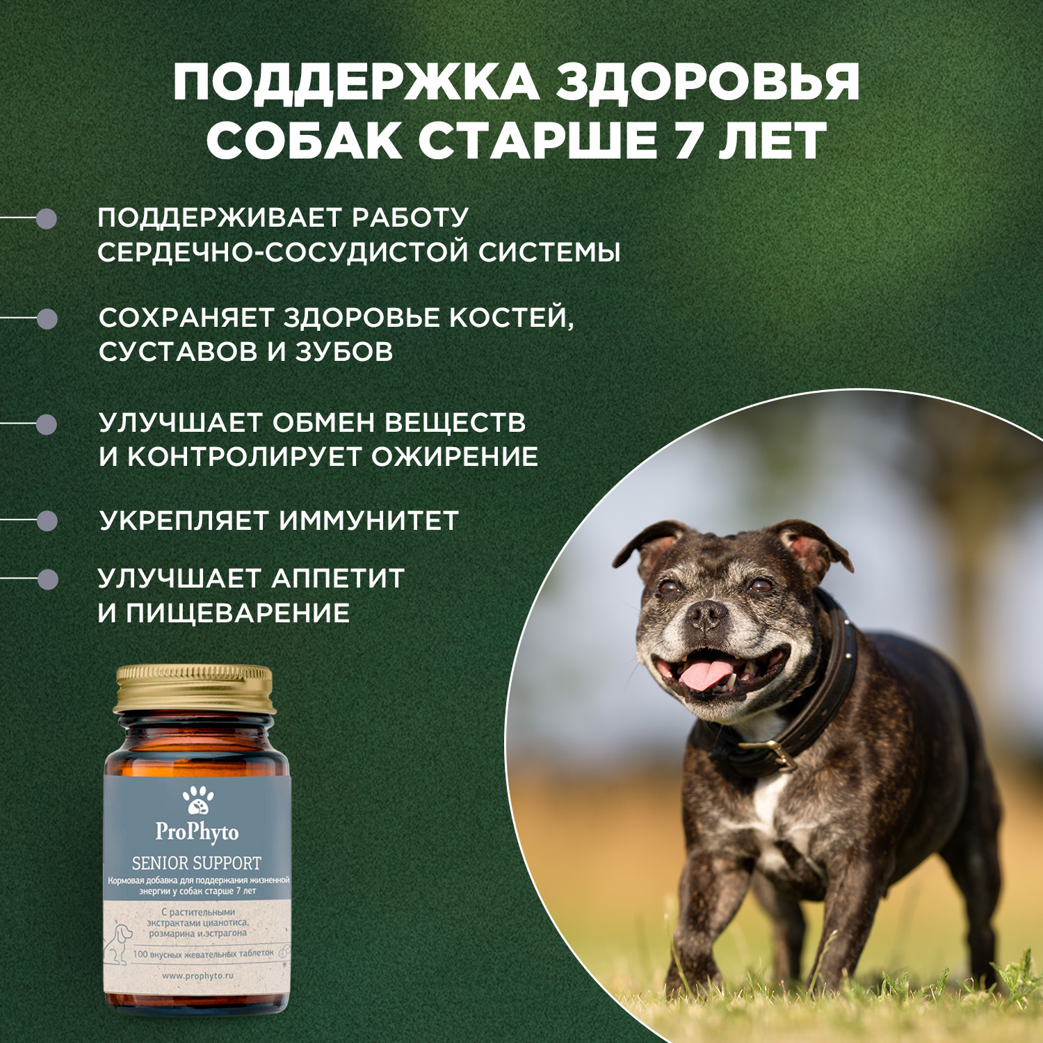 ProPhyto Сеньор Саппорт, 100 таблеток