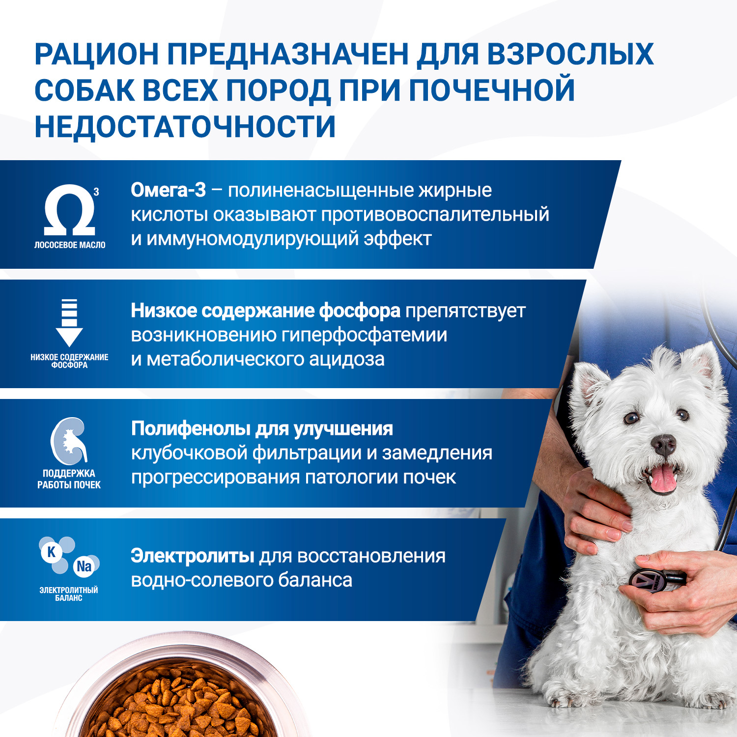 Диетический корм Monge VetSolution Dog Renal and Oxalate Ренал и Оксалат для собак при ХПН 2 кг