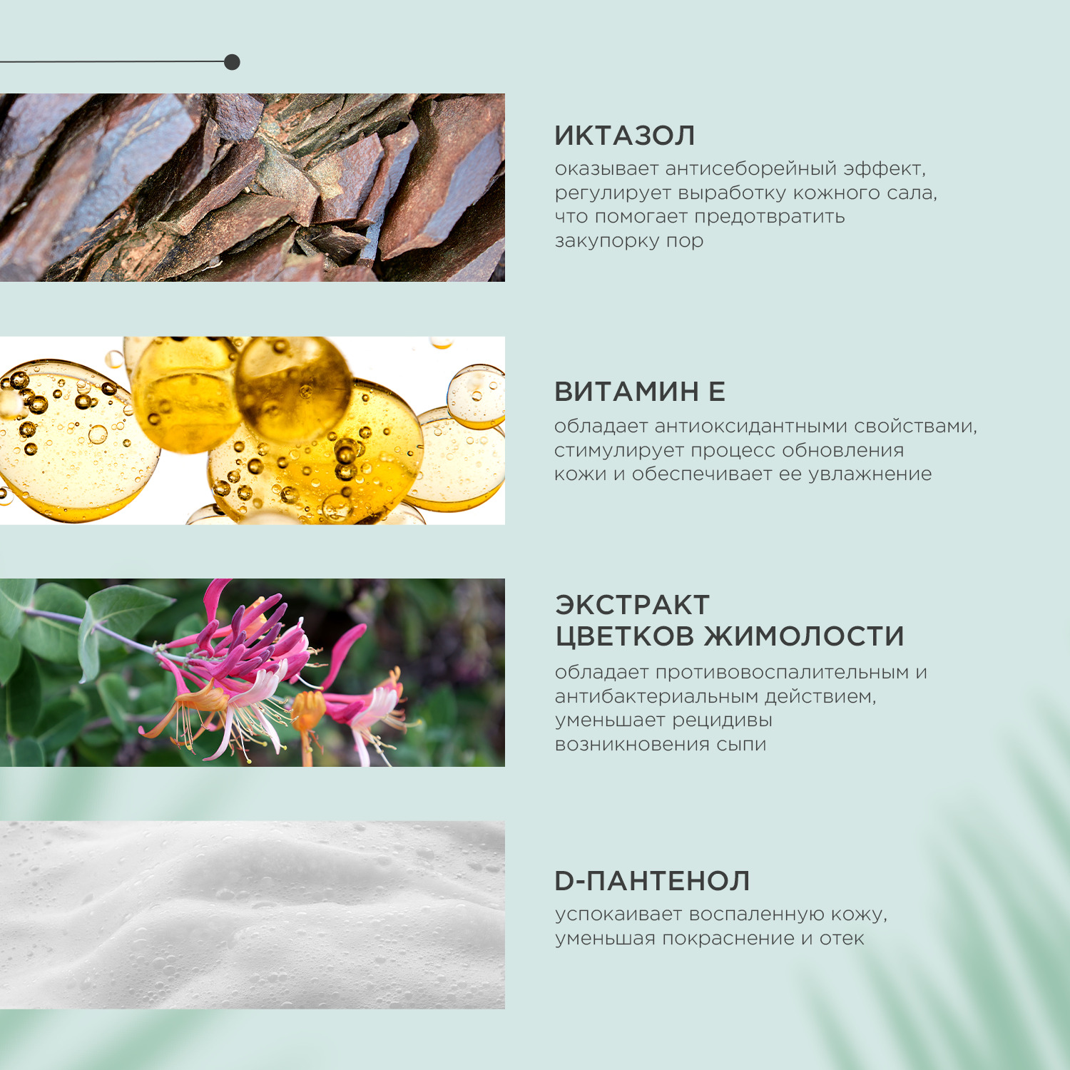 Жидкий шампунь ProPhyto DERMA PROTECT SHAMPOO для собак с растительными экстрактами против перхоти и себореи, 250 мл