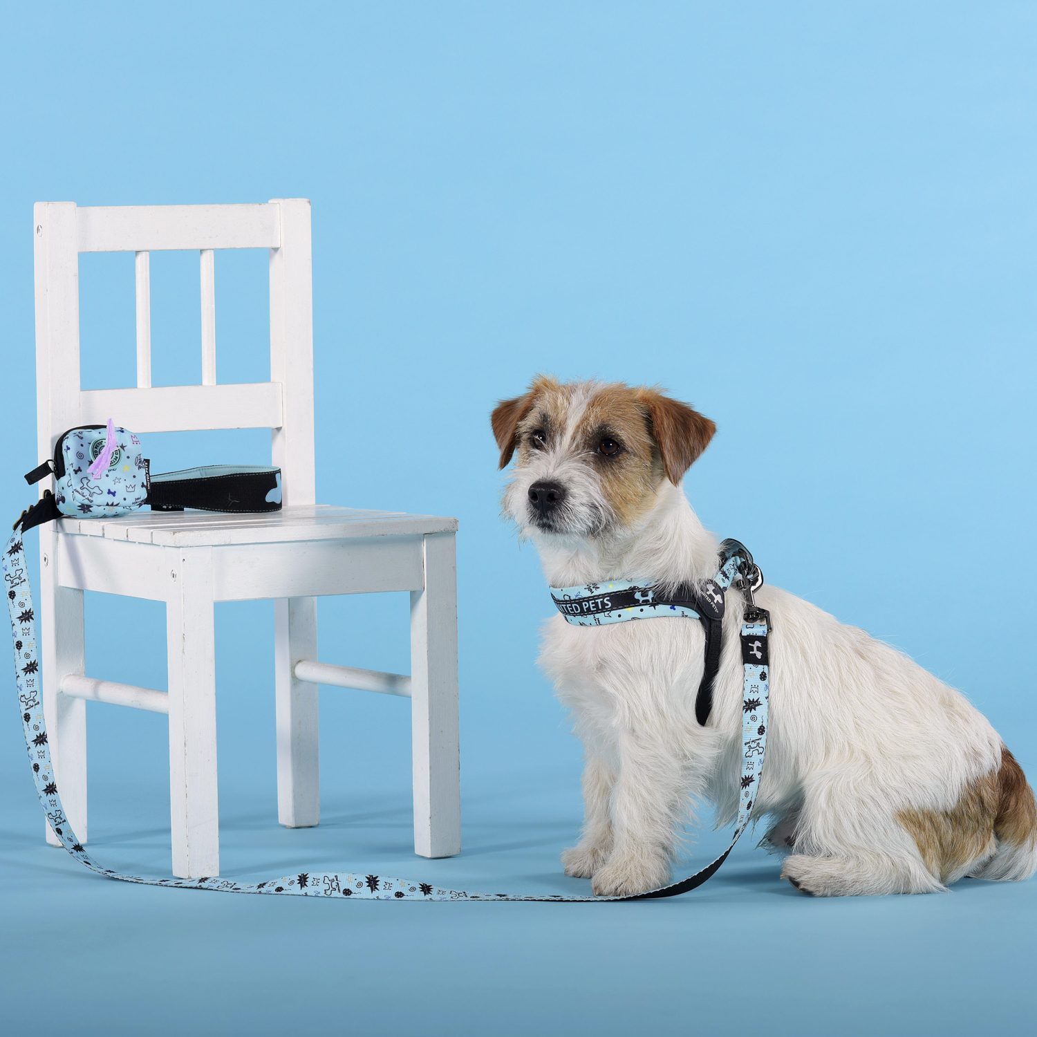 Шлейка United Pets для собак Complete me Writing 2,5 x 40-54 см, голубая с рисунком СКИДКА 30%