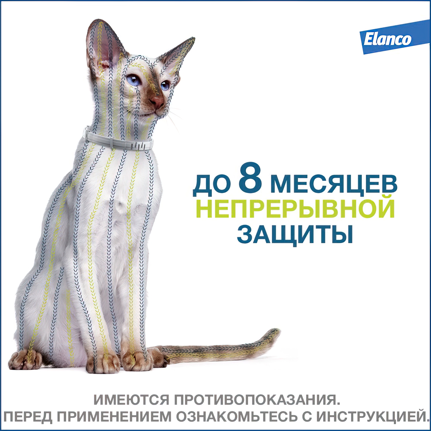 Bayer Форесто ошейник от клещей и блох для кошек 38 см