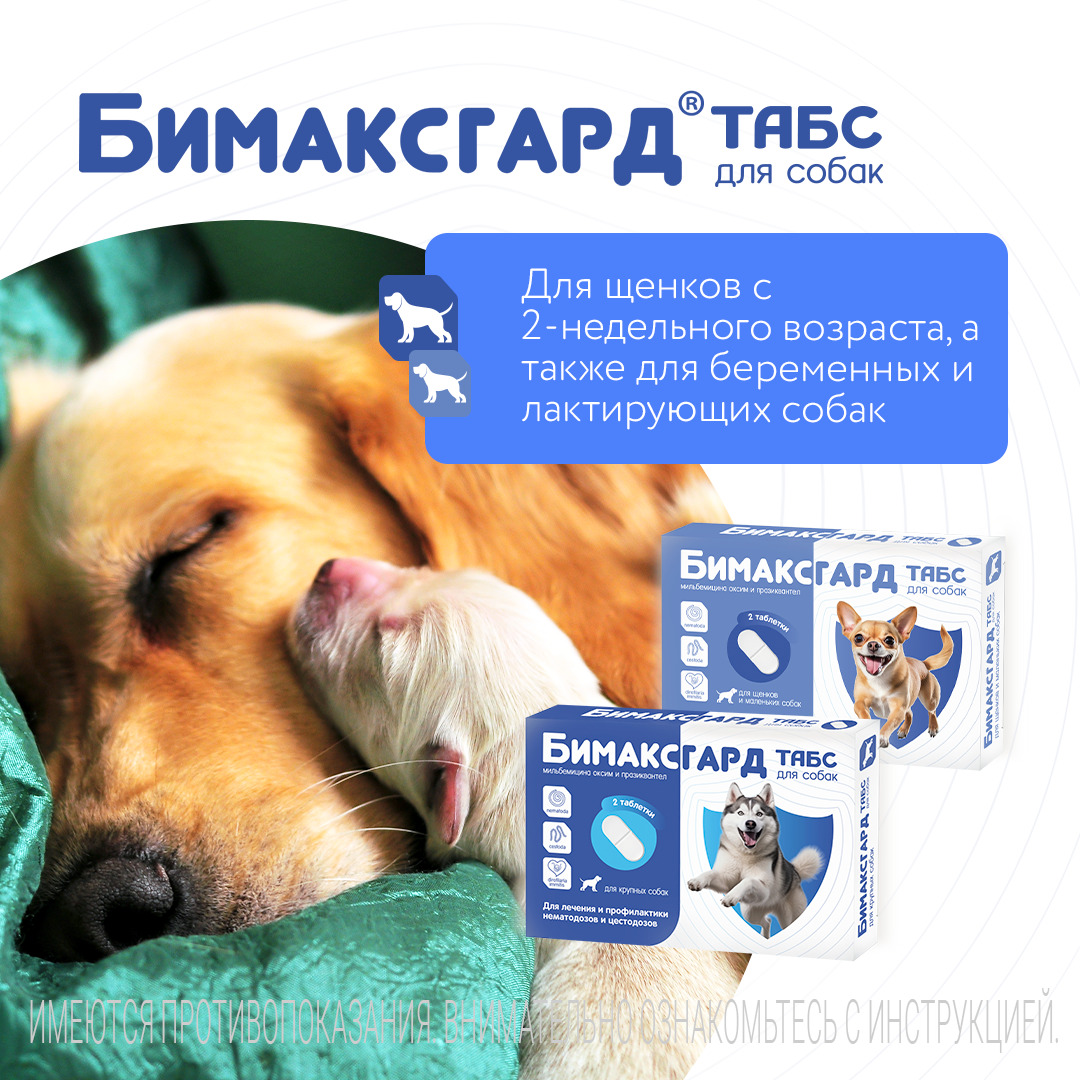 Бимаксгард® ТАБС антигельминтный препарат для щенков и маленьких собак, 2 таб.