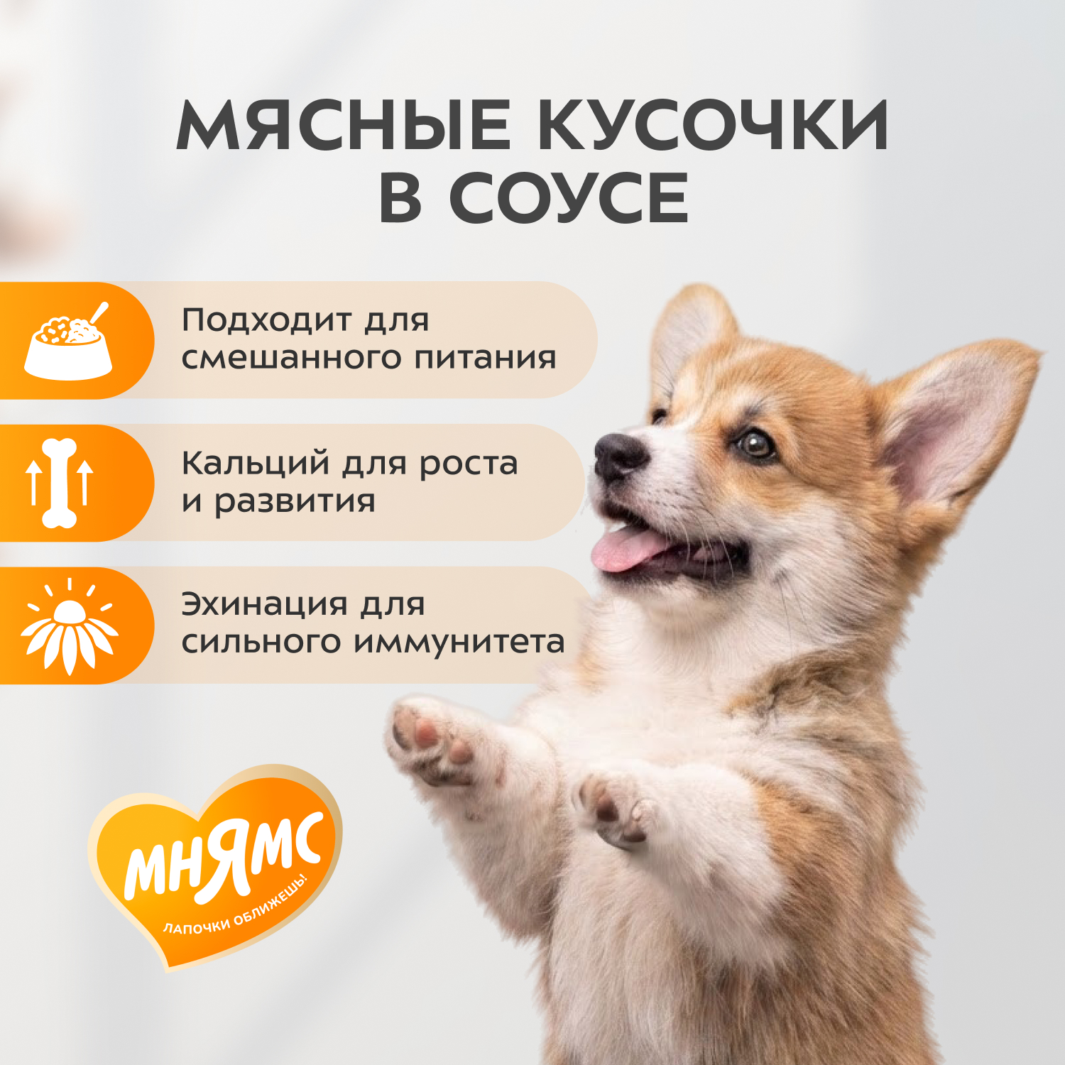 Влажный корм Мнямс На каждый день Кусочки в соусе с телятиной для щенков всех пород «ПРАВИЛЬНОЕ РАЗВИТИЕ», 400 г