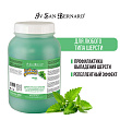 ISB Fruit of the Groomer Mint Шампунь для любого типа шерсти с витамином В6 3,25 л