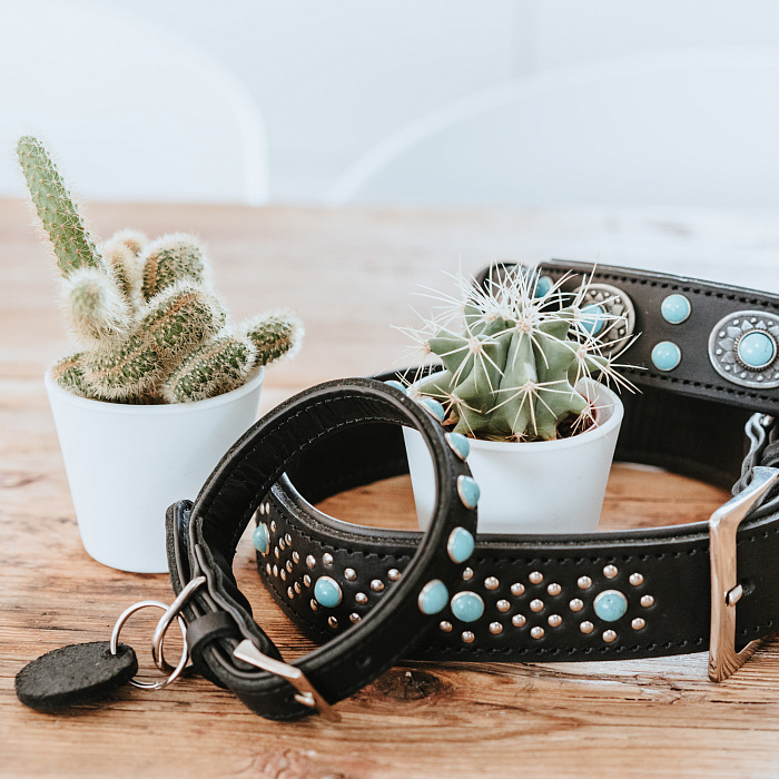 Hunter ошейник для собак Madona M (35-45 см) натуральная кожа, черный, фурнитура с имитацией бирюзы