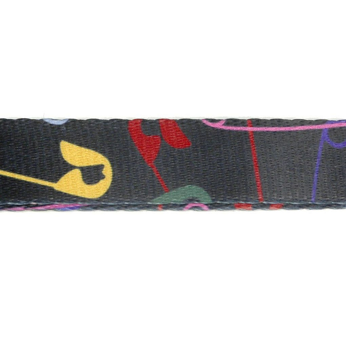 Поводок United Pets для собак Complete me 20 x 1400 mm, черный с разноцветными булавками