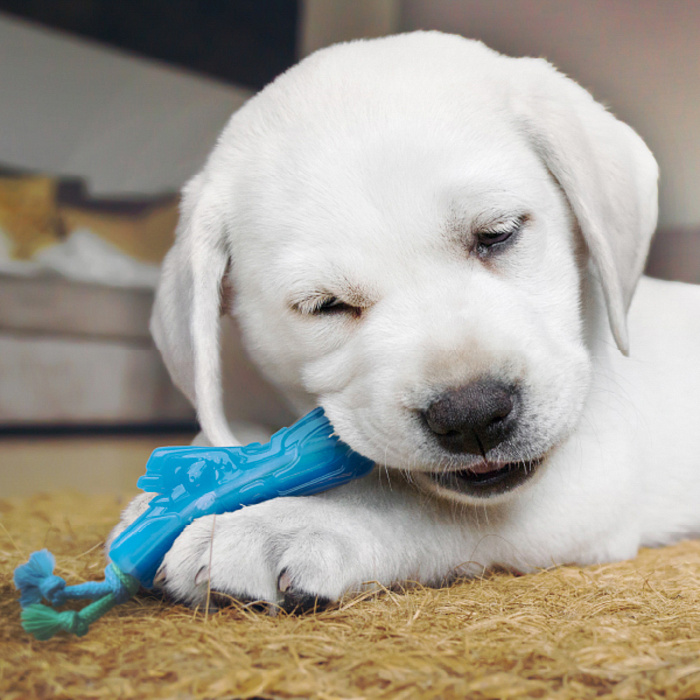 Petstages игрушка для собак Mini "ОРКА прутик" 12 см