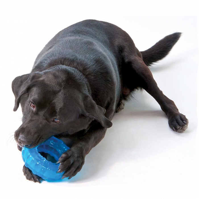 Petstages игрушка для собак "ОРКА кольцо" 16 см большая