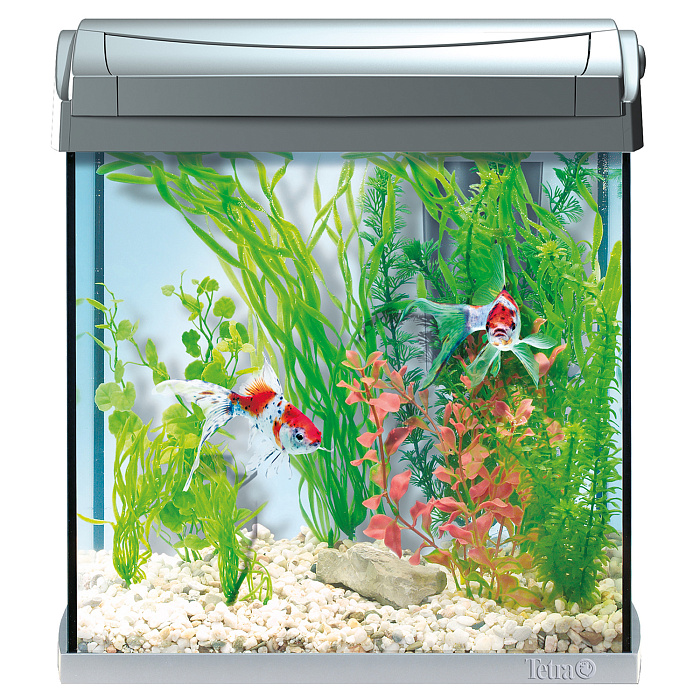 Tetra AquaArt Crayfish Discover Line аквариумный комплекс  30 л СКИДКА 40%