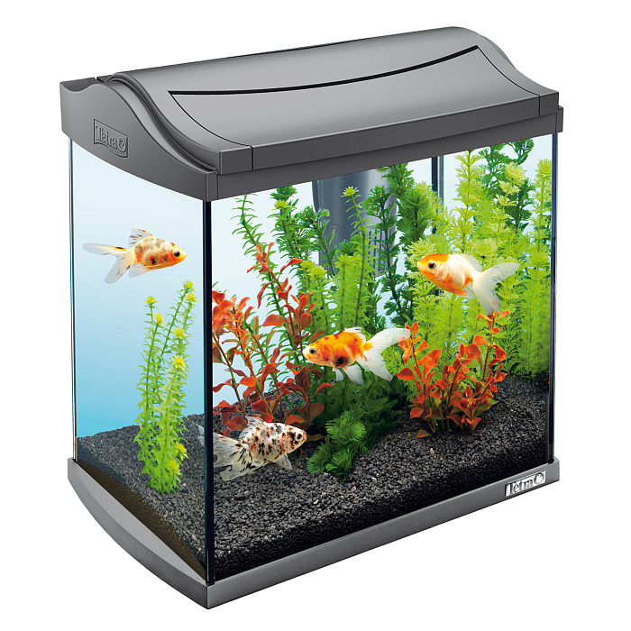Tetra AquaArt Crayfish Discover Line аквариумный комплекс  30 л СКИДКА 40%