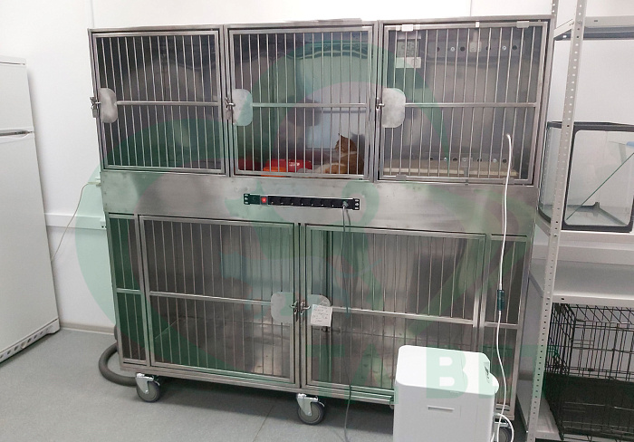 ТД ВЕТ Модуль клеток из нерж. стали, 2х ярусный из 5 клеток 2/3, 1800x600x1550(1720)h
