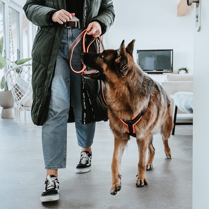 Hunter шлейка для собак Safety Maldon L (66-118 / 69-105 / 2,5 см) с ручкой, нейлон, оранжевый/серый