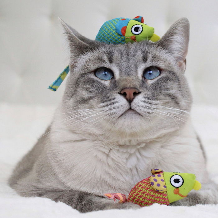 Игрушка Catstages Dental для кошек "Веселые мышки" c кошачьей мятой, 2 шт в комплекте