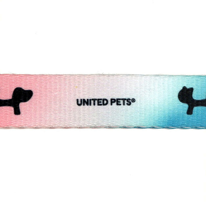 Поводок United Pets для собак Complete me 25 x 1200 mm, розово-голубой тай-дай