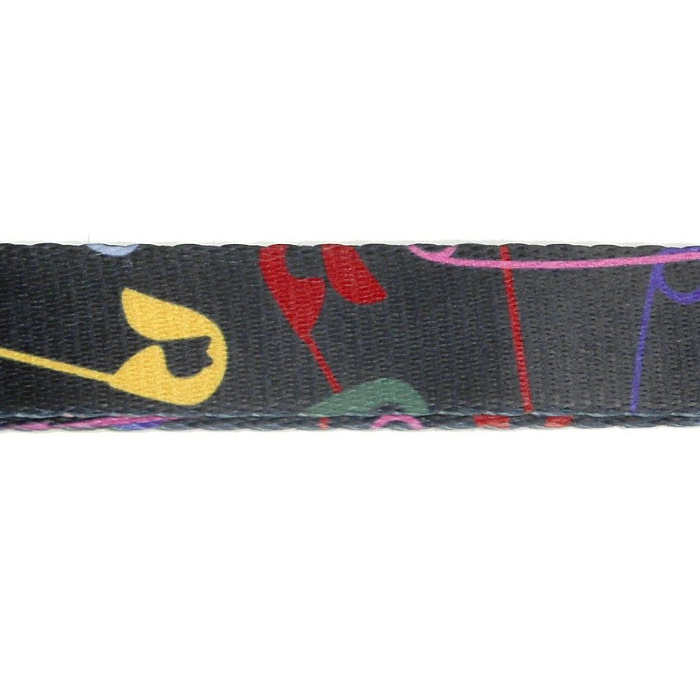 Поводок United Pets для собак Complete me 25 x 1200 mm, черный с разноцветными булавками