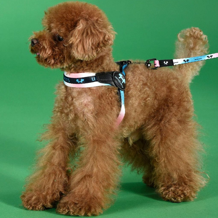 Шлейка United Pets для собак Complete me 3.5 - XL 48-64, розово-голубой тай-дай