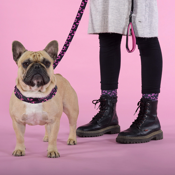 Шлейка United Pets для собак Complete me Identity 3,5 x 48-64 см, черная с розовым