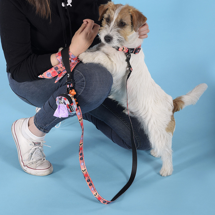 Ошейник United Pets для собак Complete me Forever M 34-56/2 см, оранжевый с рисунком