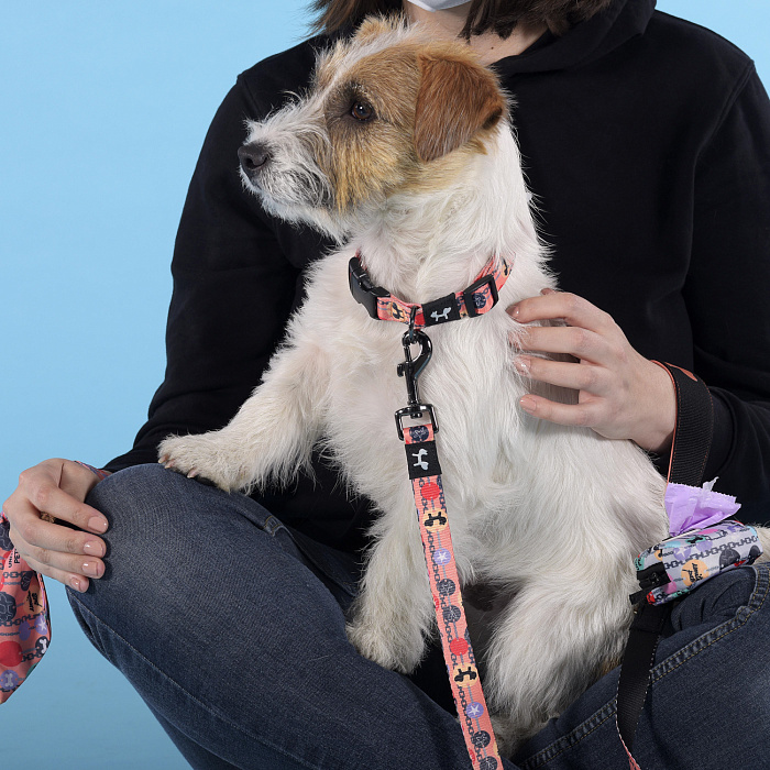 Ошейник United Pets для собак Complete me Forever S 26-40/1,6 см, оранжевый с рисунком