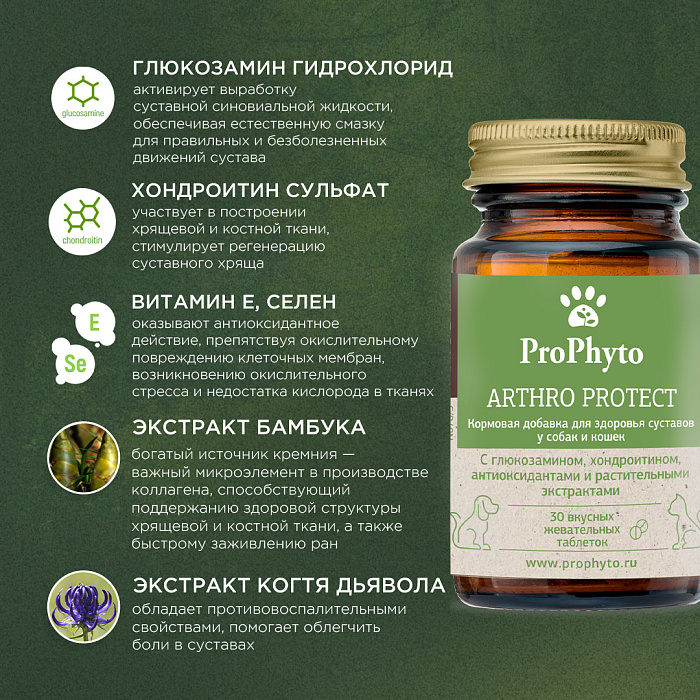 ProPhyto Артро Защита, 30 таблеток