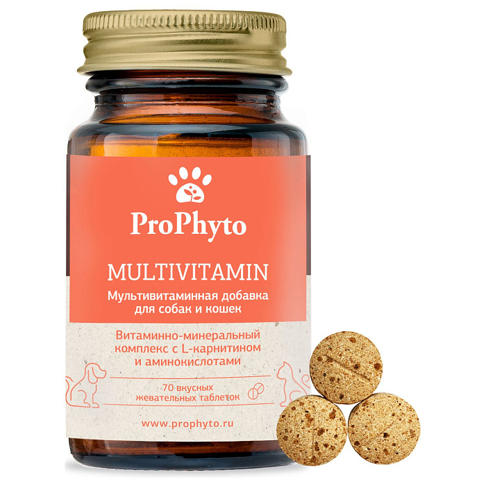 ProPhyto Мультивитамин, 70 таблеток