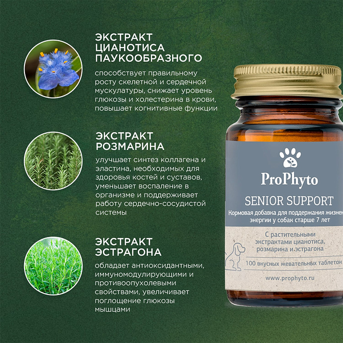 ProPhyto Сеньор Саппорт, 100 таблеток