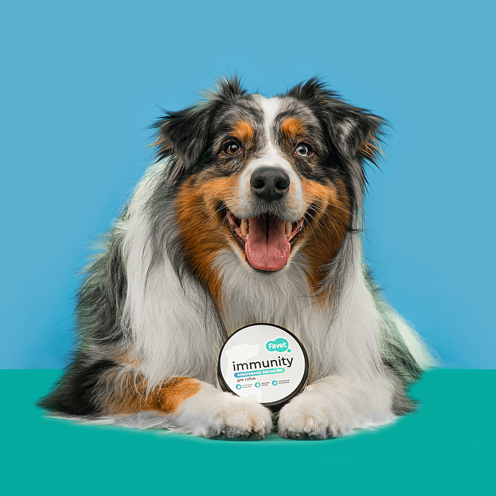 Favet Функциональное лакомство FerrumActive Soft Chews для иммунитета для собак, 120г