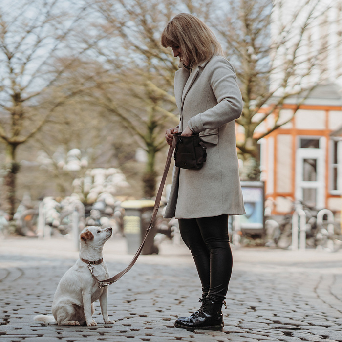 Hunter ошейник для собак ALU-Strong Inari M (40-55 см) нейлон с металлической застежкой бежевый