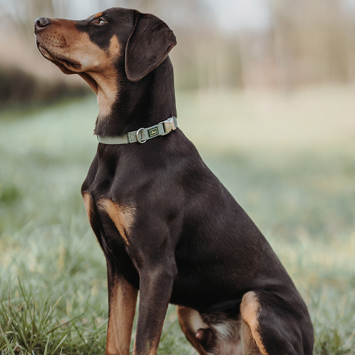 Hunter ошейник для собак ALU-Strong Inari M (40-55 см) нейлон с металлической застежкой оливковый