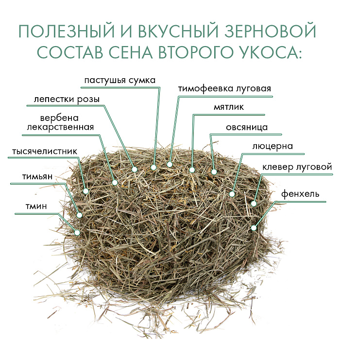 FIORY сено Альпийское Alpiland Yellow с одуванчиком 500 г